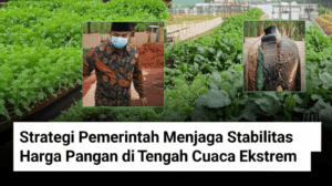 Strategi Pemerintah Menjaga Stabilitas Harga Pangan di Tengah Cuaca Ekstrem